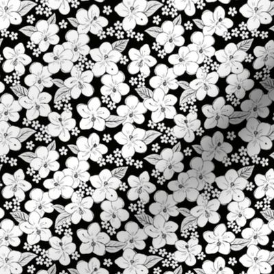 Hibiscus flowers and tropical island boho blossom beach vibes and summer hawaii nursery design winter monochrome black and white SMALL