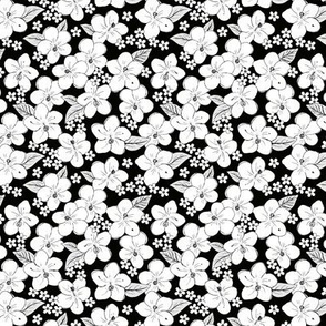Hibiscus flowers and tropical island boho blossom beach vibes and summer hawaii nursery design winter monochrome black and white SMALL