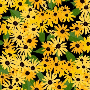 Black-eyed Susan