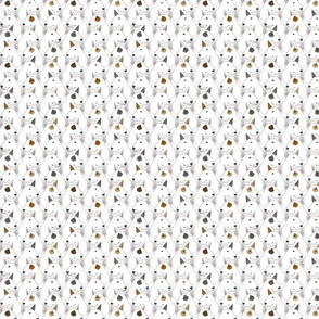 Small White Miniature Bull Terrier portrait pack
