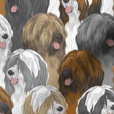 Tibetan terrier portrait pack