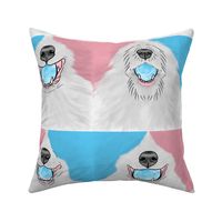 Nosey pink and blue Flyball Dog faces