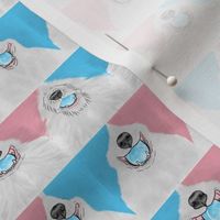 Tiny Nosey pink and blue Flyball Dog faces