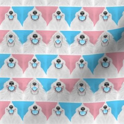 Tiny Nosey pink and blue Flyball Dog faces