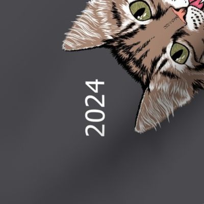 2024 calendar cat and yarn