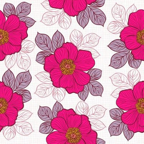 Flowers of peony -dark pink on white