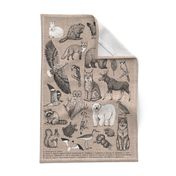 wildlife alphabet tea towel