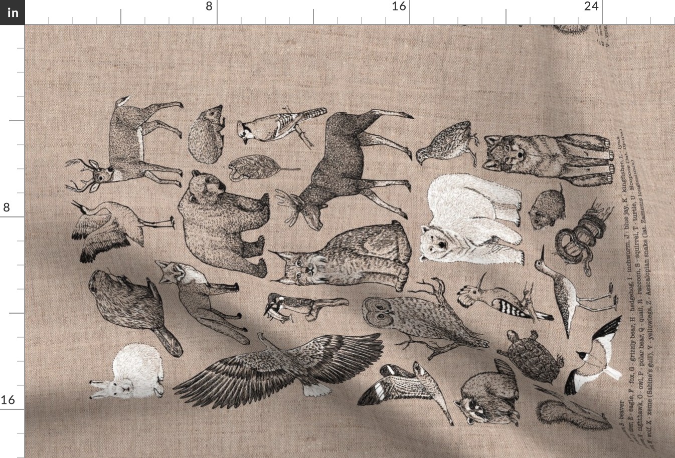 wildlife alphabet tea towel