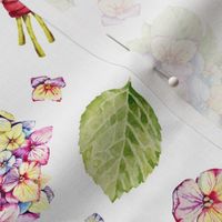 Hydrangea flowers, watercolor