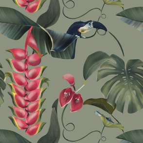 Beautiful tropical flora and a funny toucan