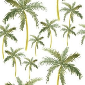 Palm Trees