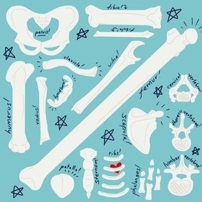 Ortho Bones