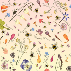 Wildflowers and Bees