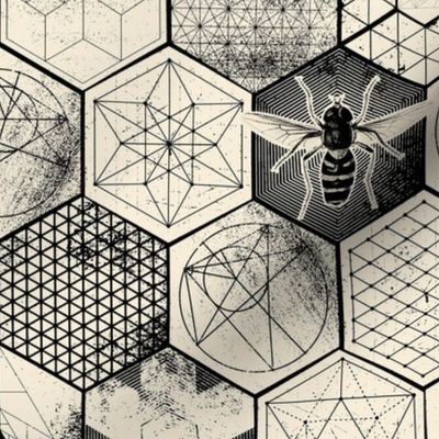 The Honeycomb Conjecture-small-inverted