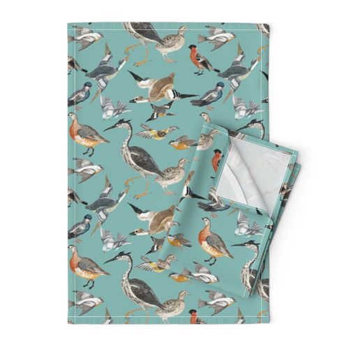 birds on teal