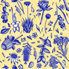 Aussie Flora - Yellow and Blue