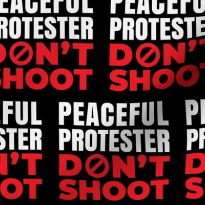 Peaceful Protester Don't Shoot