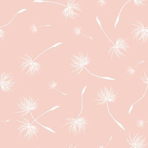 dandelion blush