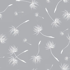 dandelion seeds on gray