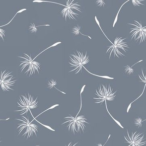 dandelion seeds blue