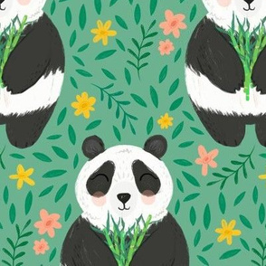 Shu Ye the Panda