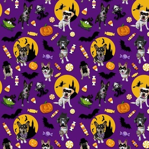 Dogs Gone Wild for Halloween_Purple2