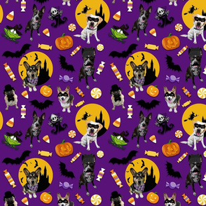 Dogs Gone Crazy for Halloween_purple