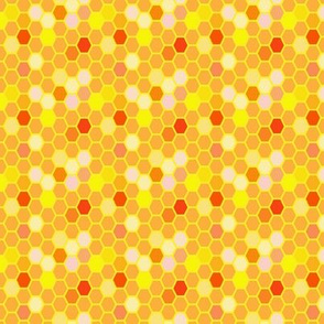 Honeycomb multicolor