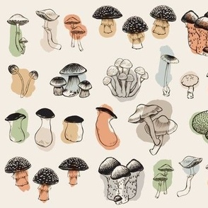 Mushroom Studies with Colour Daubs