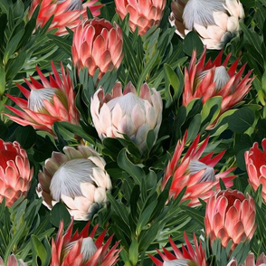 Lush Protea Botanical with Olive Green Leaves - medium