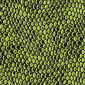 ★ REPTILE SKIN ★ Lime Green - Large Scale / Collection : Snake Scales – Punk Rock Animal Prints 4