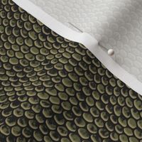 ★ REPTILE SKIN ★ Olive Green - Small Scale / Collection : Snake Scales – Punk Rock Animal Prints 4