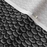 ★ REPTILE SKIN ★ Gray - Large Scale / Collection : Snake Scales – Punk Rock Animal Prints 4