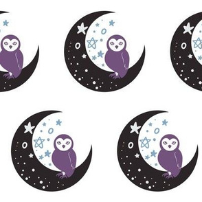 Starry Night Moon and Owl