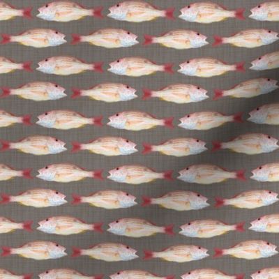 Snapper Fish on Linen Background