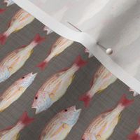 Snapper Fish on Linen Background