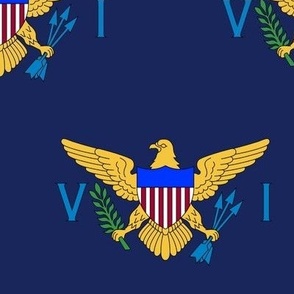 US Virgin Islands flag, 3x5"" staggered on navy blue