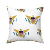 US Virgin Islands flag, 3"x5” staggered on white