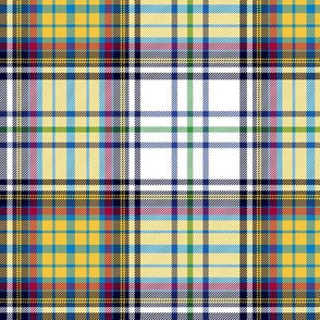 US Virgin Islands flag-inspired tartan - white, 6"