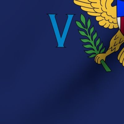 US Virgin Islands flag, 12x18"navy blue panel