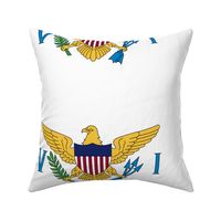 US Virgin Islands flag, 12x18" white panel