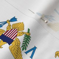 US Virgin Islands flag, 3"x 5" rotated on white