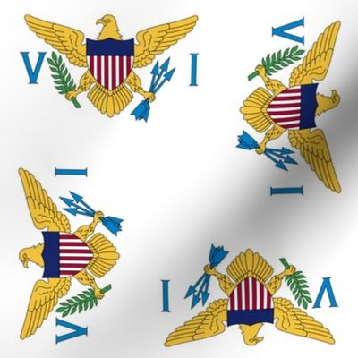 US Virgin Islands flag, 3"x 5" rotated on white