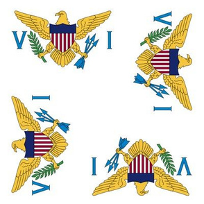 US Virgin Islands flag, 3"x 5" rotated on white