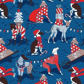 Small scale // Greyhounds Christmas dogwalk // blue background