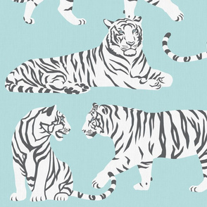 white tigers - blue