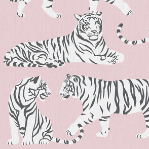white tigers - pink