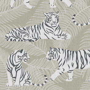 white tigers - white palms