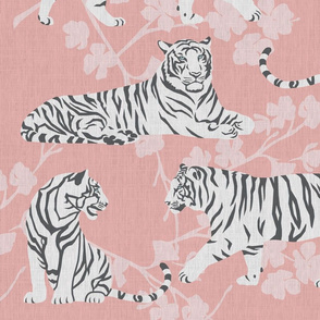 white tigers - pink cherry blossoms