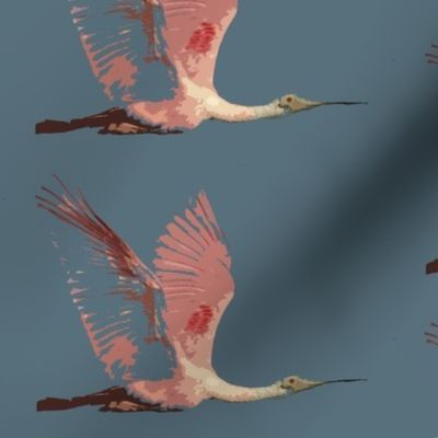 spoonbill in flight 2